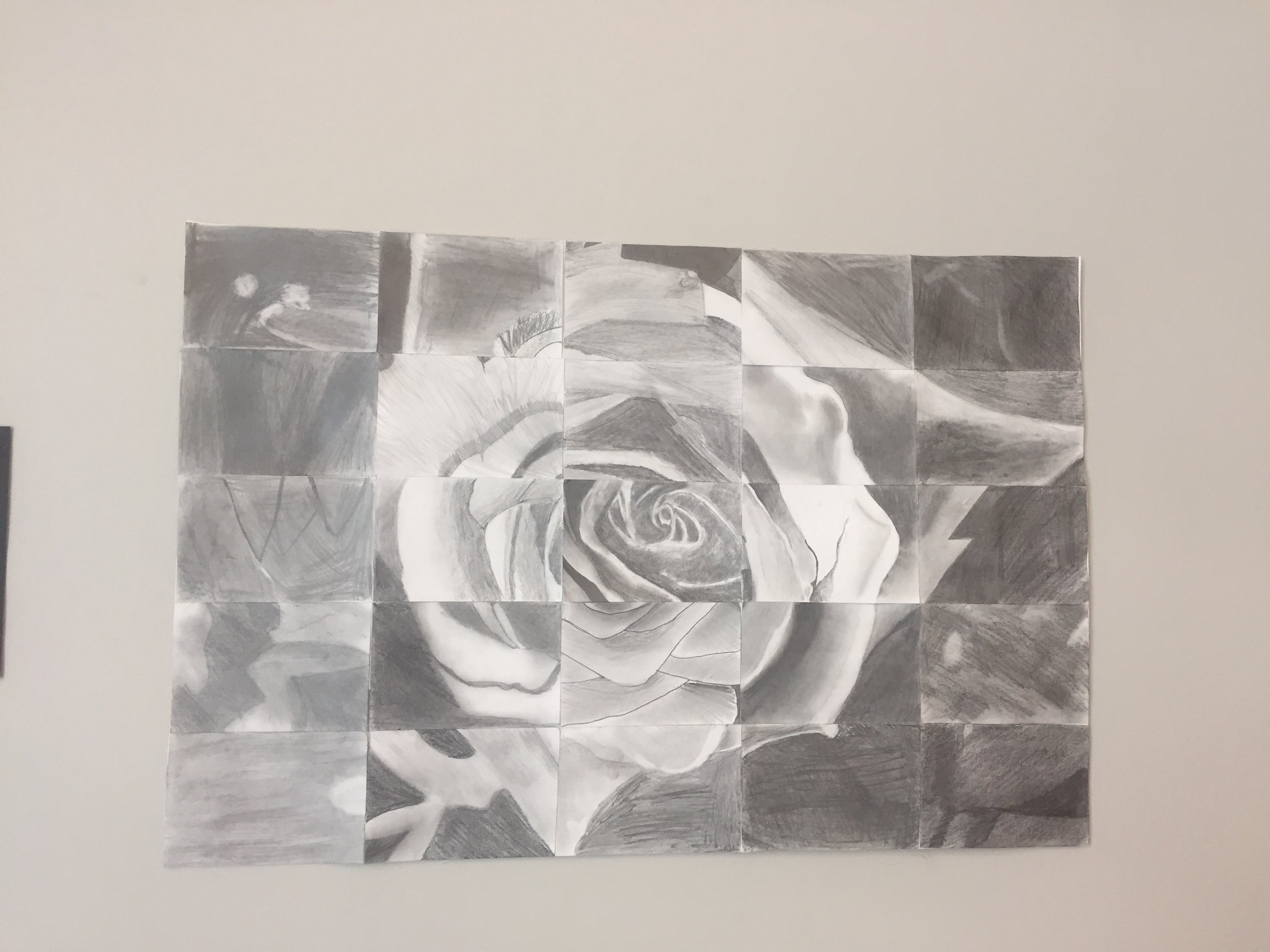 rose 1.jpg